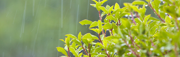 『今年の夏は猛暑・大雨・台風…』